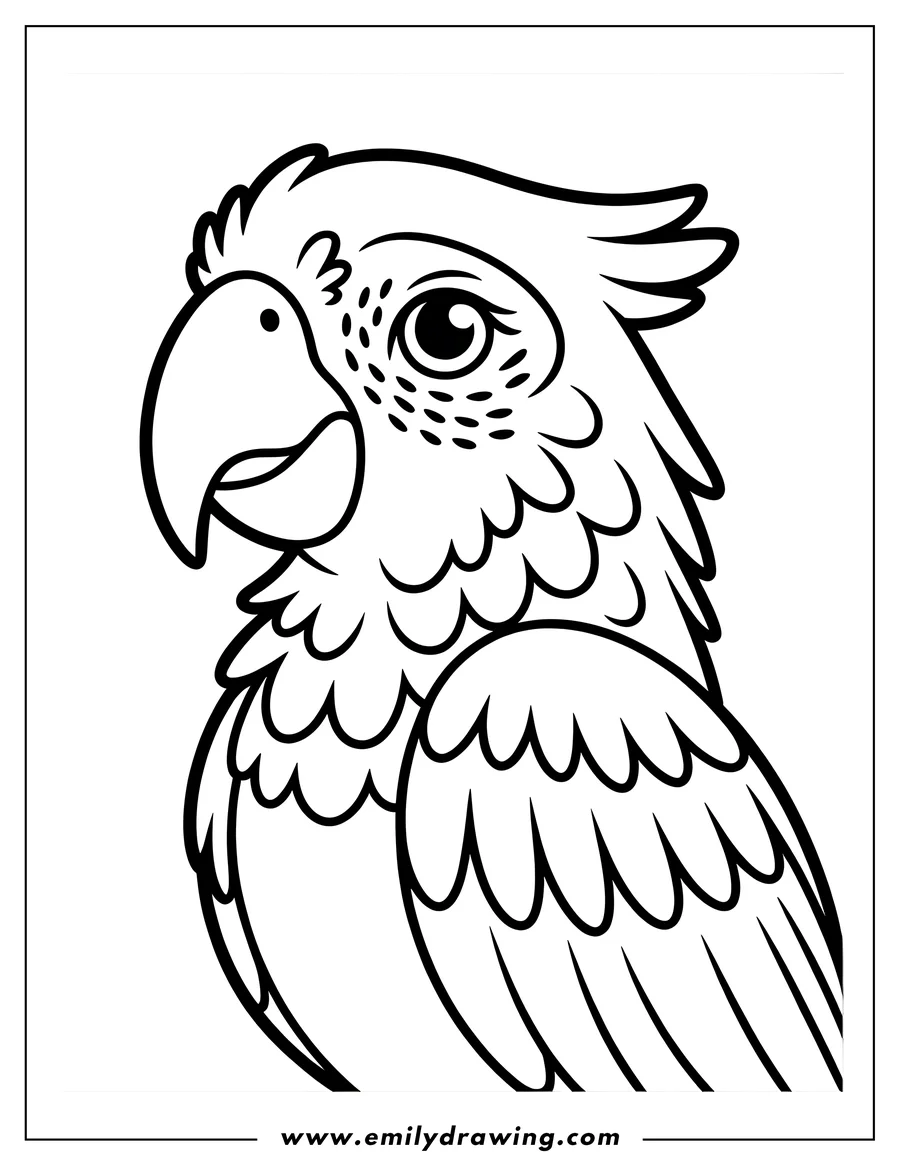 Line art of a macaw.