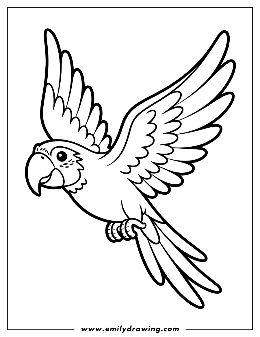 Line art of a macaw in flight with wings spread wide.