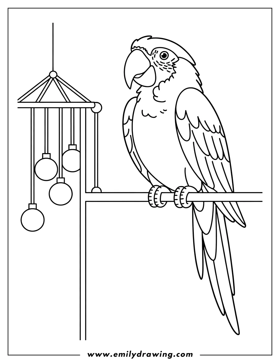 Outline of a macaw perched on a horizontal bar, with a hanging chime toy nearby.