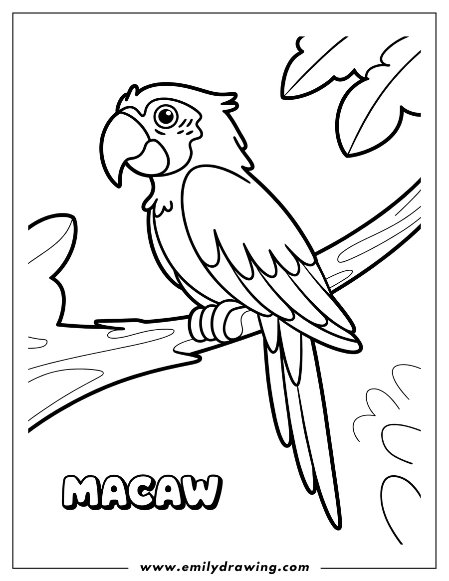 Line art of a macaw perched on a tree branch.