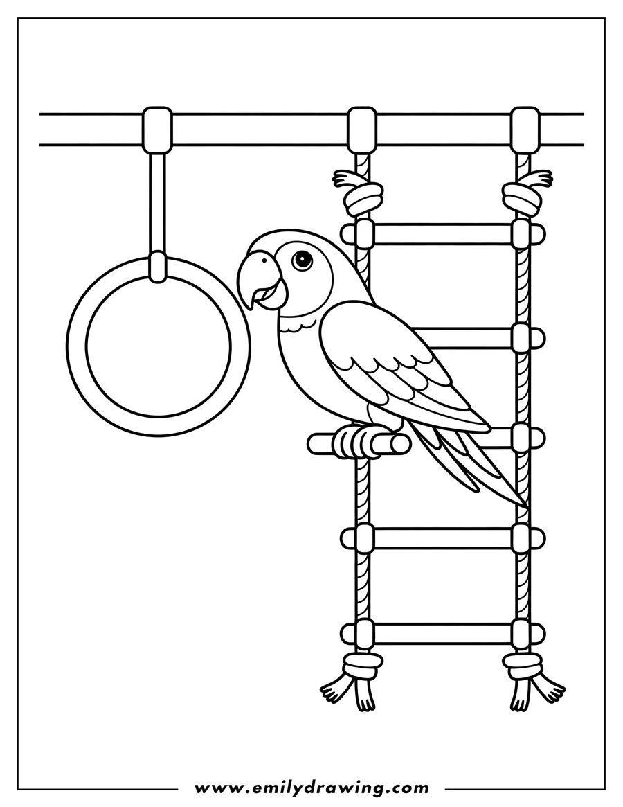 Line art of a macaw perched on a rope ladder with a hanging ring.
