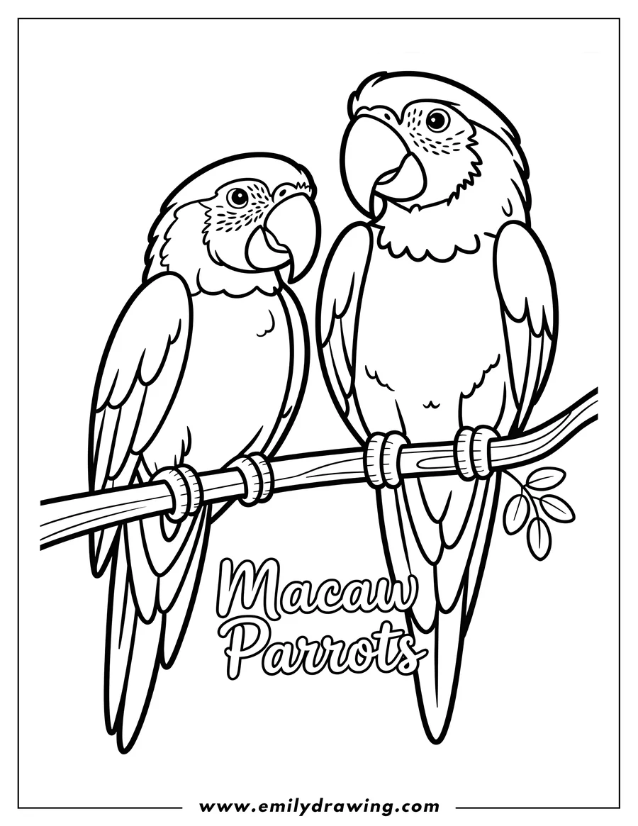 Outline of two macaw parrots perched side by side on a tree branch.