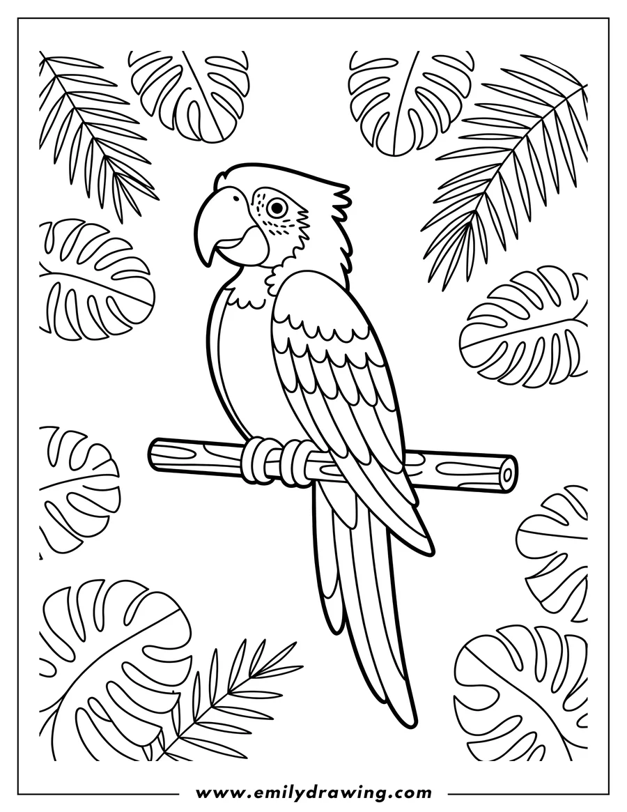 Line art of a macaw perched on a branch amidst large tropical leaves.
