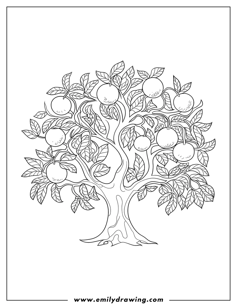 Line art of an orange tree laden with ripe oranges and detailed leaves.