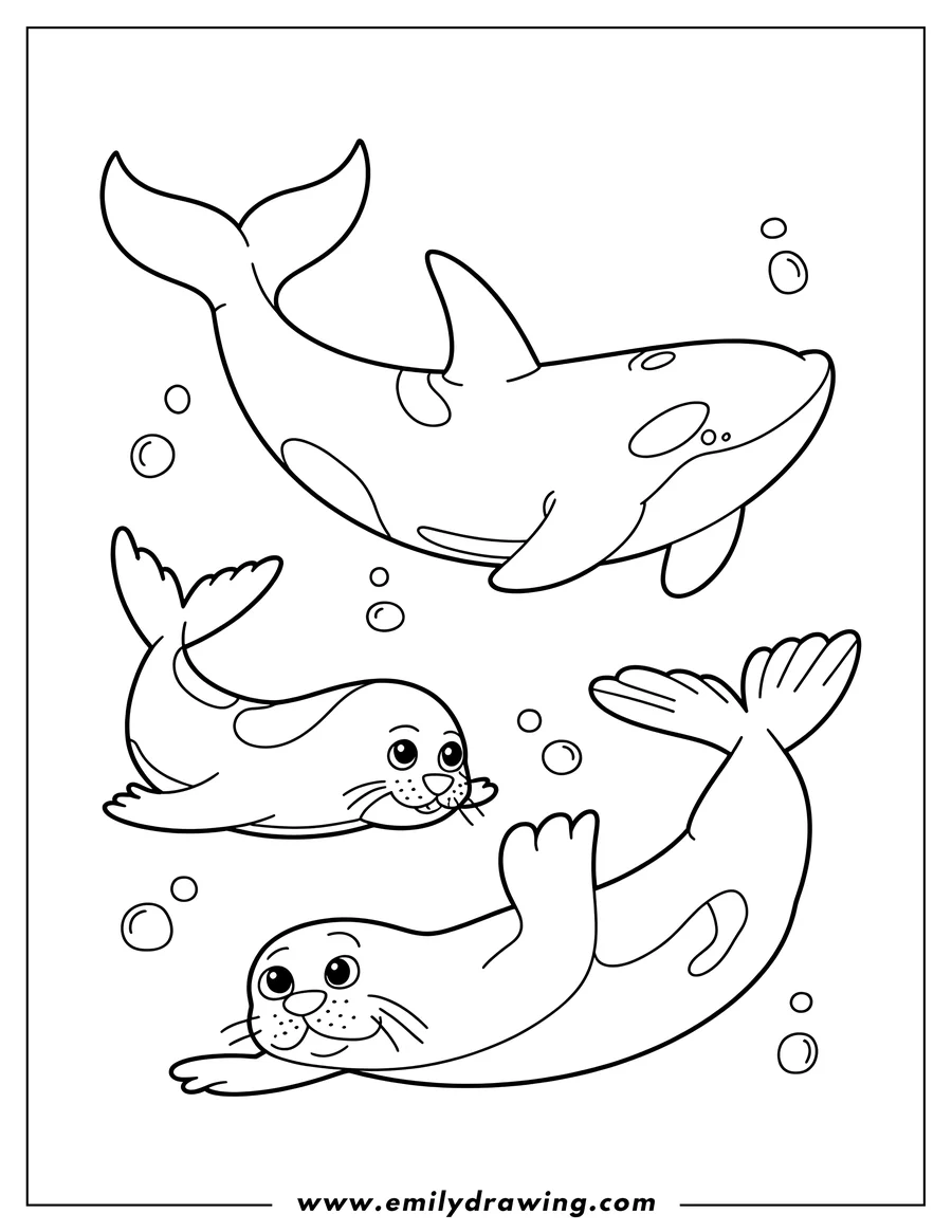 Line art of an orca whale swimming above two playful seals, with bubbles floating around them.
