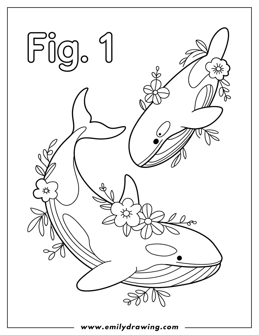 Outline of two orcas decorated with flowers and leaves.