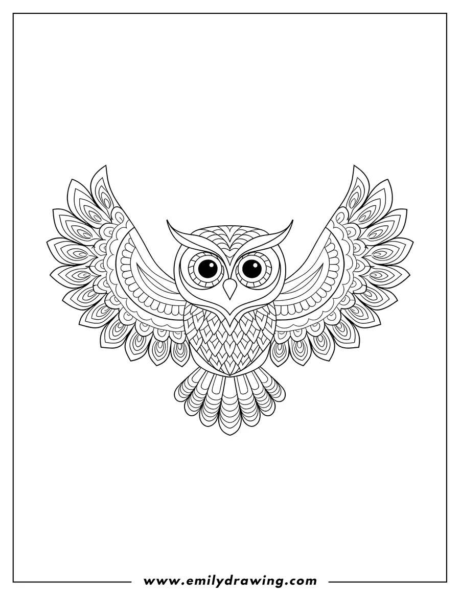 Line art of an owl with its wings spread, showcasing detailed feather patterns.