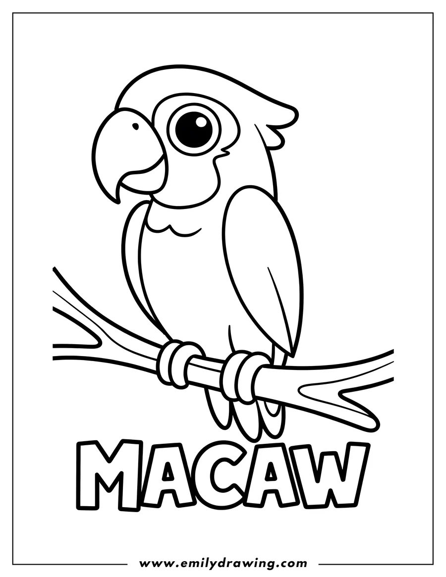 Outline of a macaw perched on a branch.