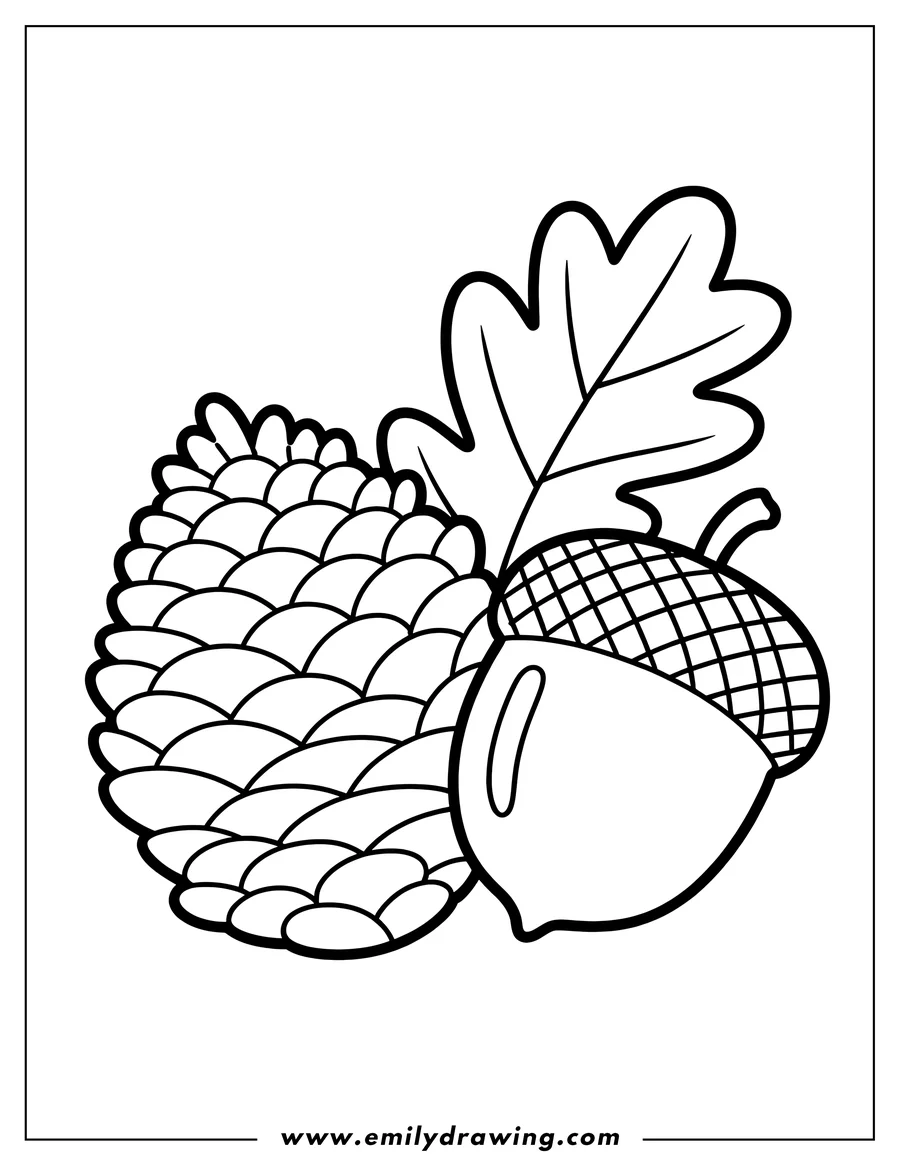 Line art of a pine cone and an acorn with an oak leaf.