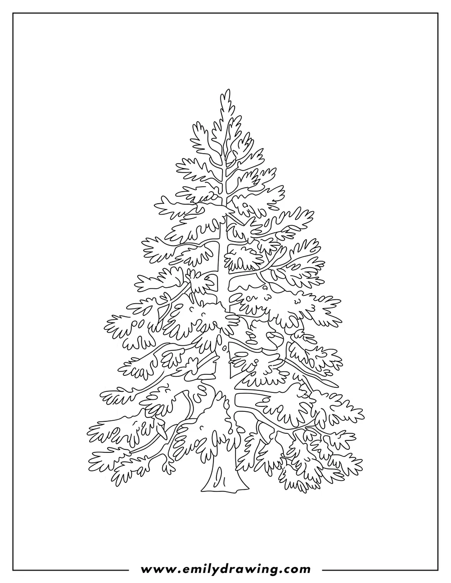Outline of a tall pine tree with detailed needles and branches.