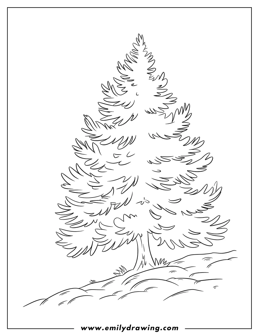 Outline of a tall pine tree standing on a small hill. Tufts of grass are visible around the base of the tree.