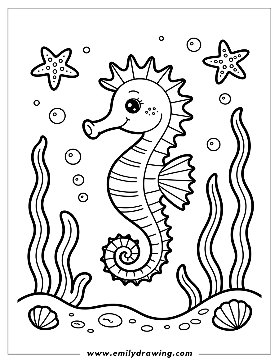 Outline of a seahorse with starfish, seashells, and seaweed in the background.