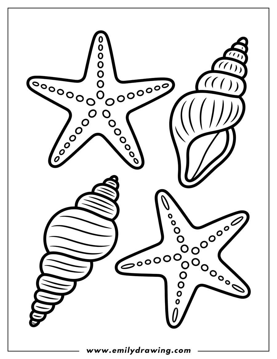 Simple outline of two seashells and two starfish.