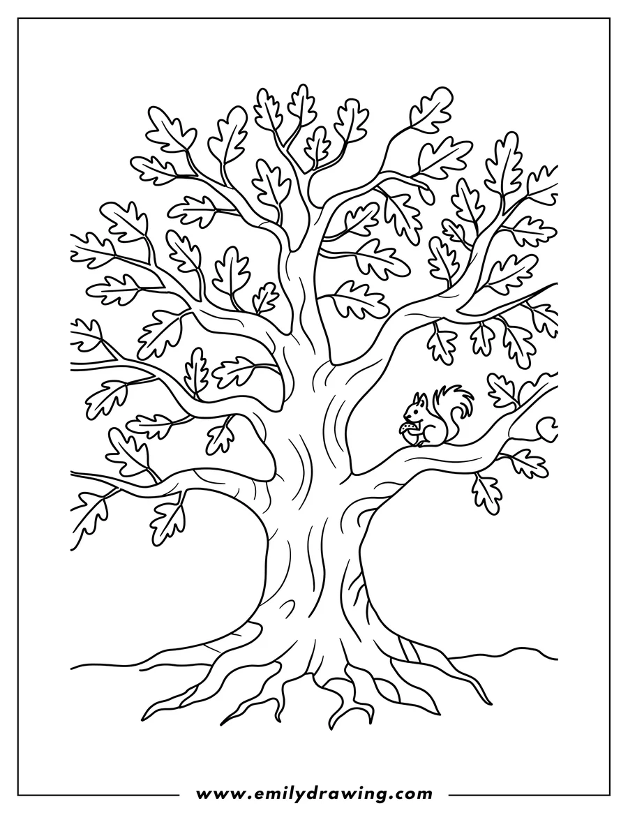 Outline of a squirrel holding an acorn, sitting on the branch of a large oak tree.