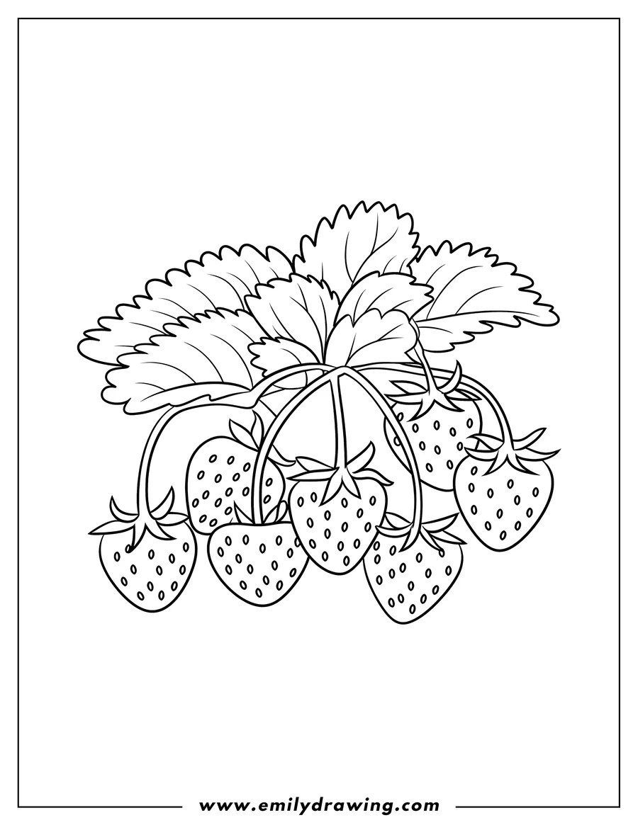 Outline of several strawberries hanging from a leafy stem.
