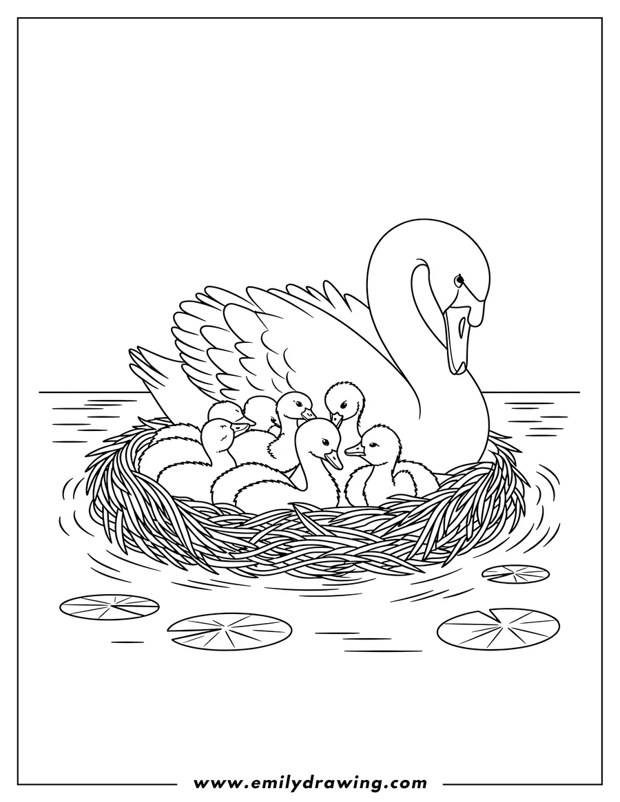 Line art of a swan with cygnets nestled in a floating nest on a pond with lily pads.