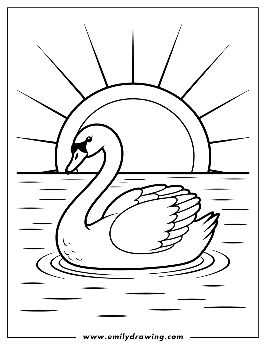 Outline of a swan swimming calmly on water with the sun rising behind it.
