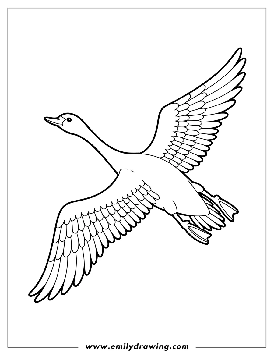 Outline of a swan with outstretched wings, soaring in flight.