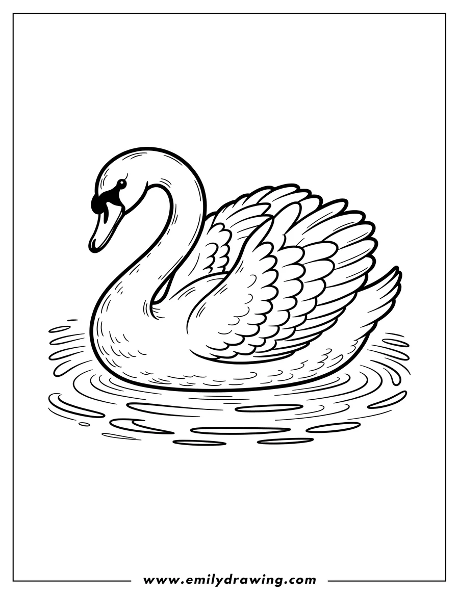 Outline of a swan floating on water. Its neck is curved elegantly, and its wings are neatly folded.