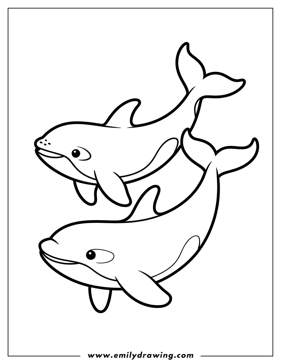 Outline of two orcas playfully swimming together.