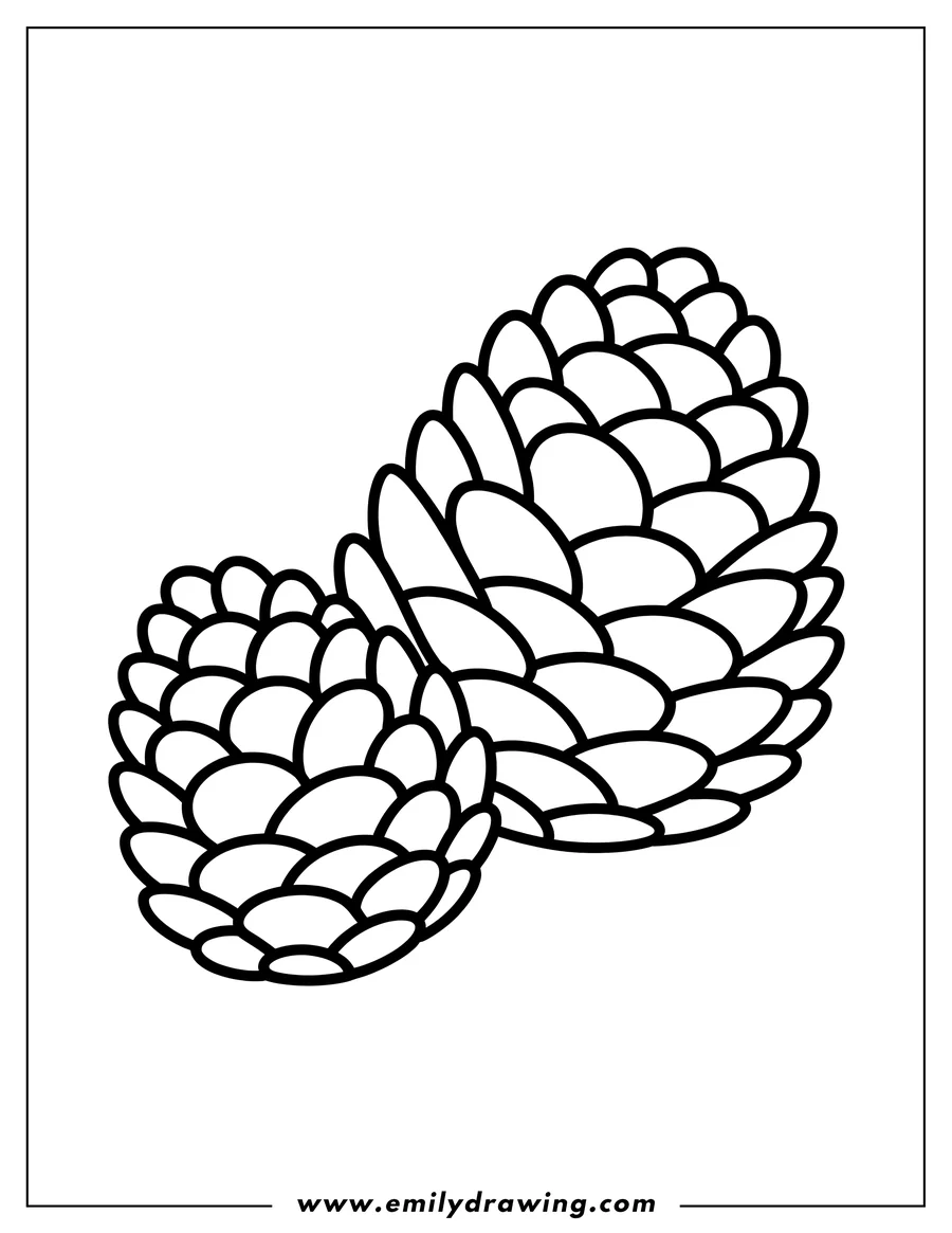Simple line drawing of two overlapping pine cones.