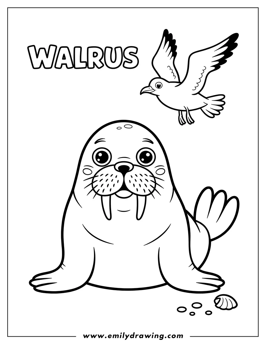Line art of a walrus with a seashell at its feet and a seagull flying above.