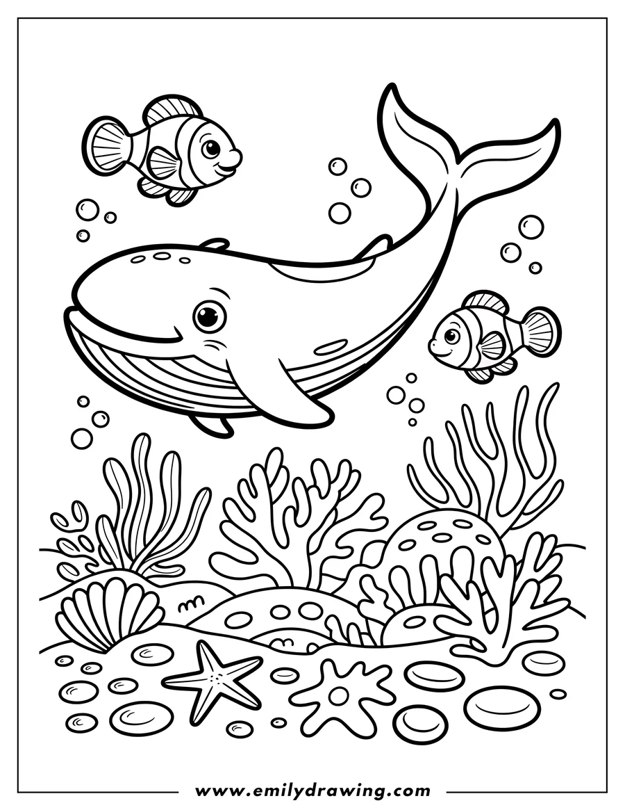 Outline of a whale swimming underwater with two clownfish, near coral and a starfish on the seabed.