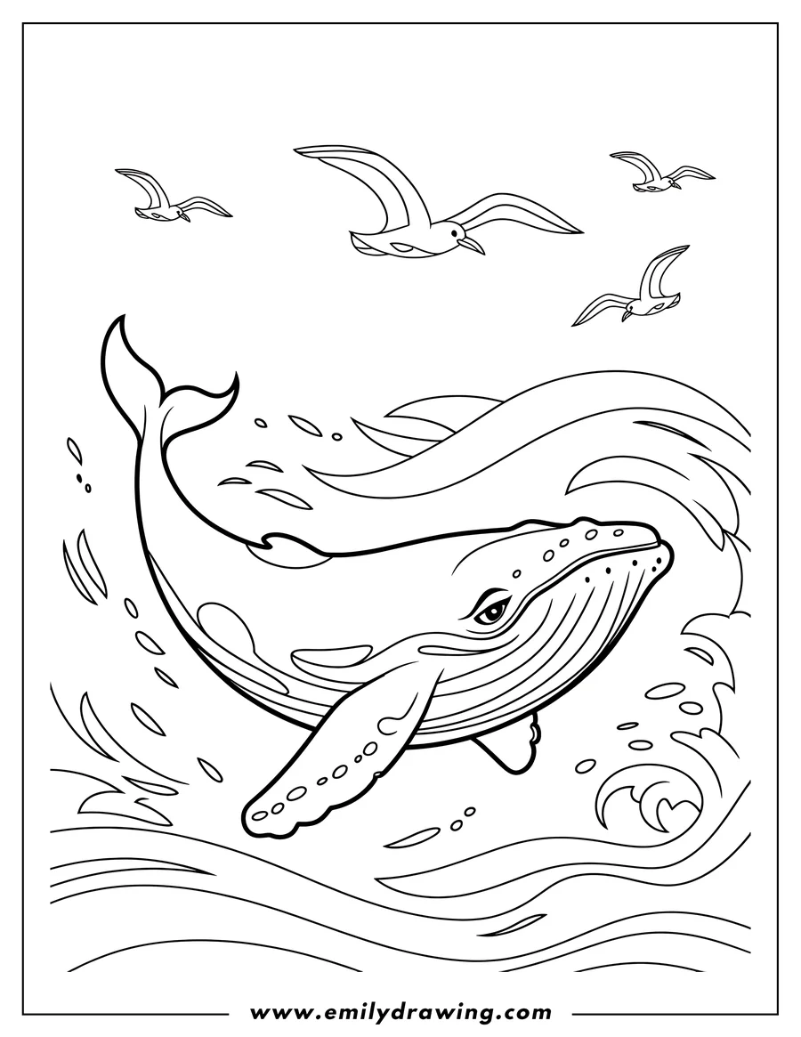 Outline of a whale swimming in the ocean with seagulls flying above it.
