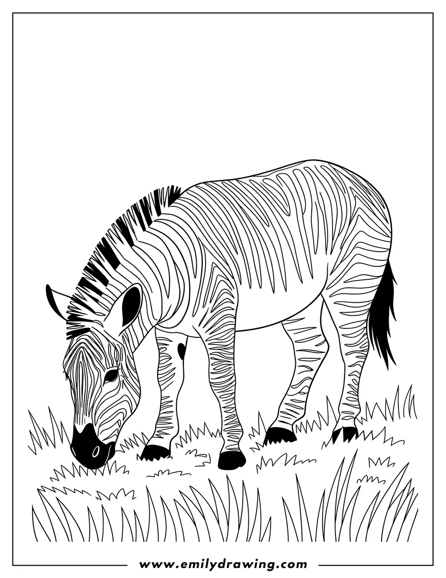 Outline of a zebra grazing in tall grass.