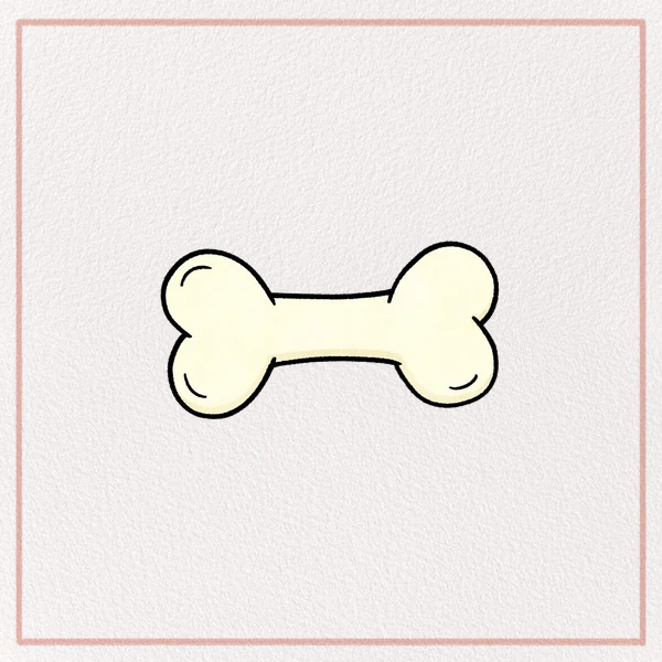 How to Draw a Bone feature image