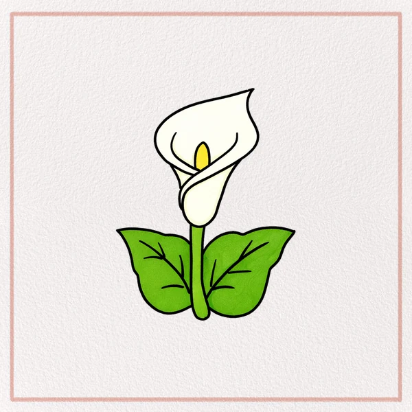 How to Draw a Calla Lily feature image