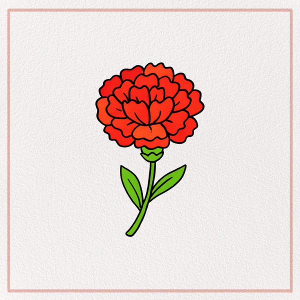 How to Draw a Carnation feature image
