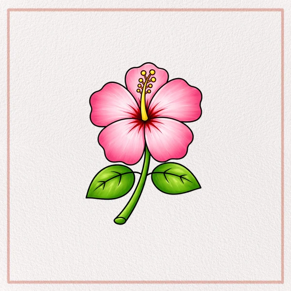 How to Draw a Hibiscus feature image