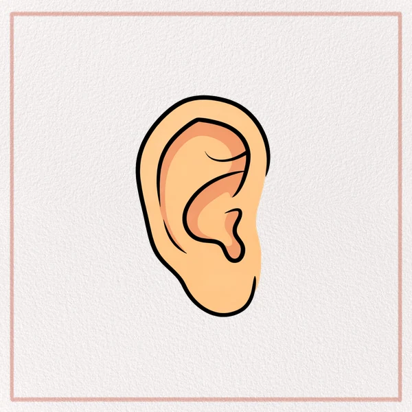 How to Draw an Ear feature image