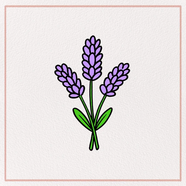 How to Draw a Lavender feature image