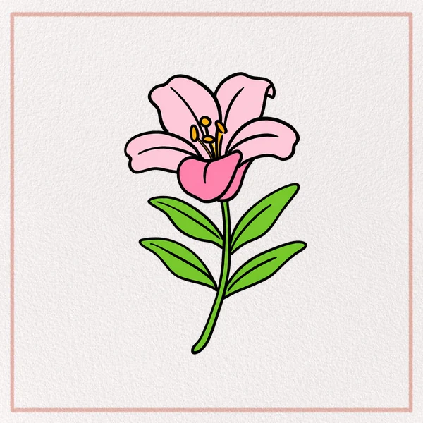 How to Draw a Lily Flower feature image