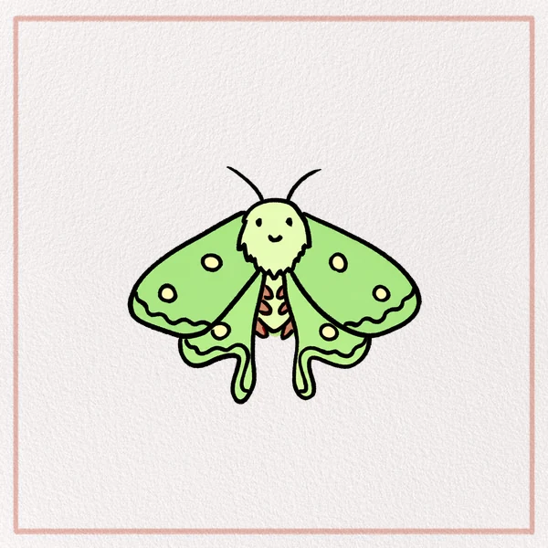 How to Draw a Luna Moth feature image
