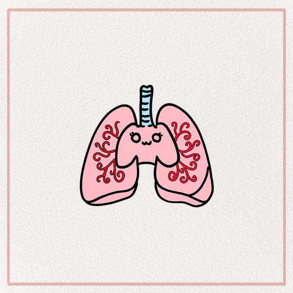 How to Draw a Lungs feature image
