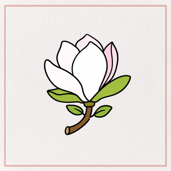 How to Draw a Magnolia Flower feature image