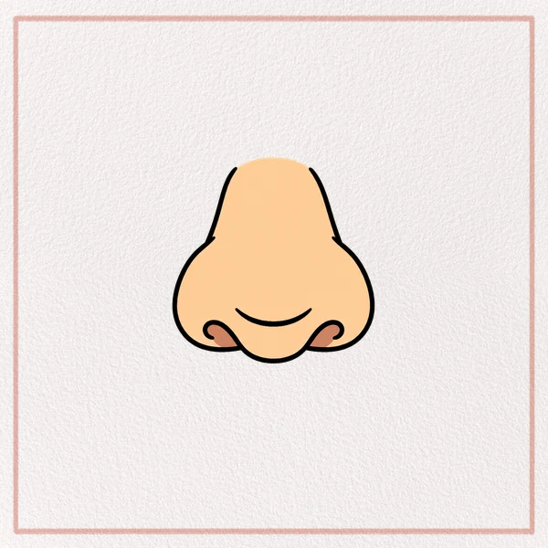 How to Draw a Nose feature image