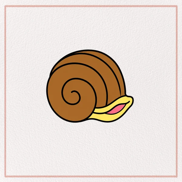 How to Draw a Seashell feature image