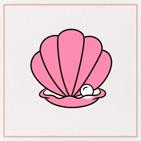 How to Draw a Shell feature image