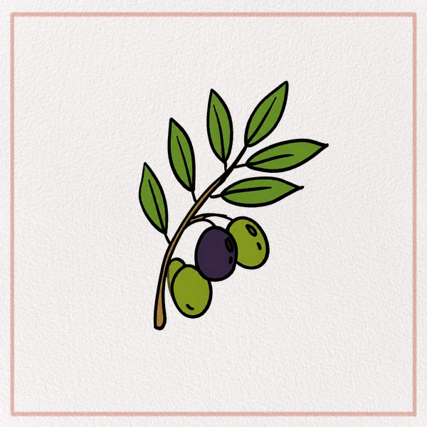 How to Draw an Olive Branch feature image
