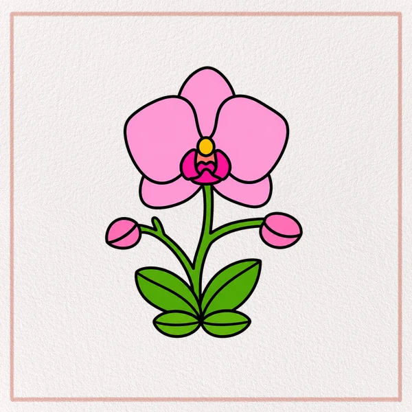 How to Draw an Orchid feature image