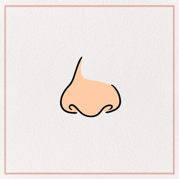 How to Draw a Cartoon Nose feature image