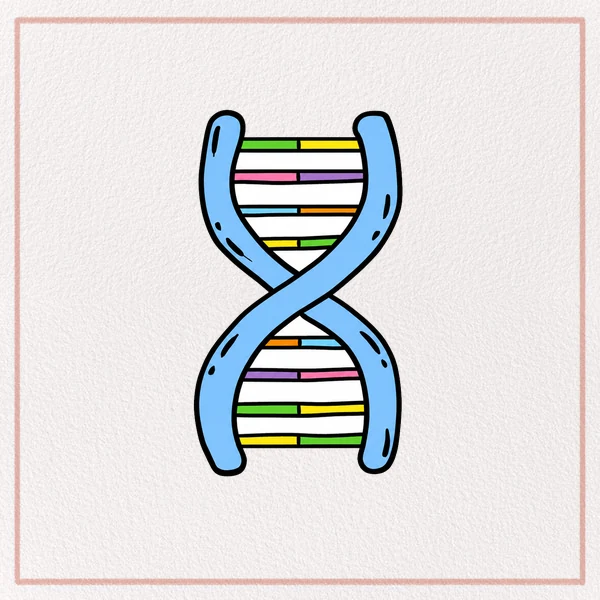 How to Draw a Dna feature image
